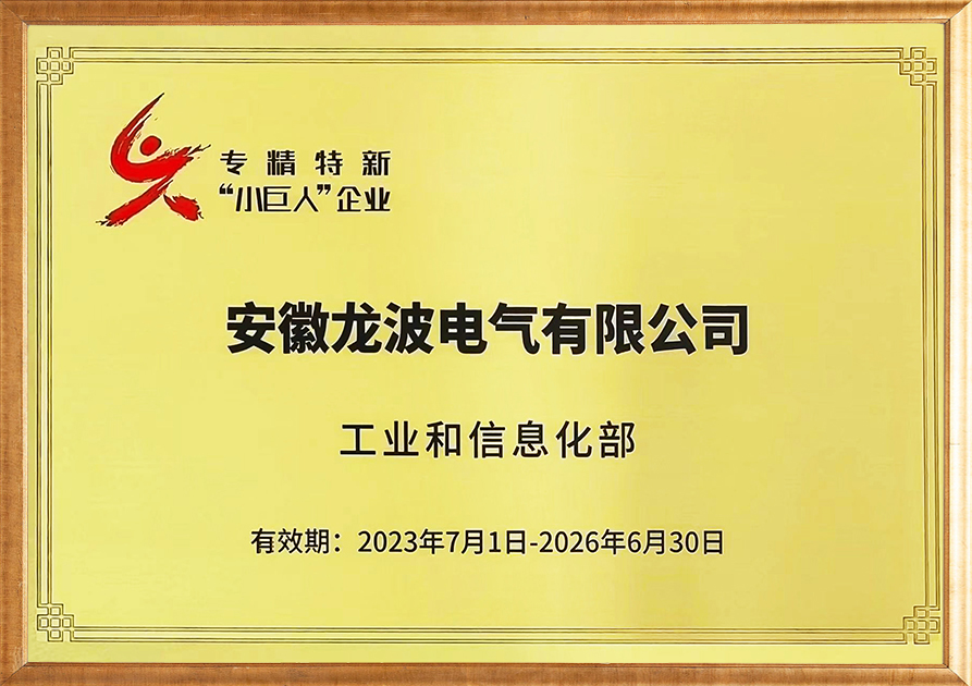 Specialized, special and new little giant enterprises